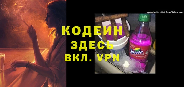 амф Пестово