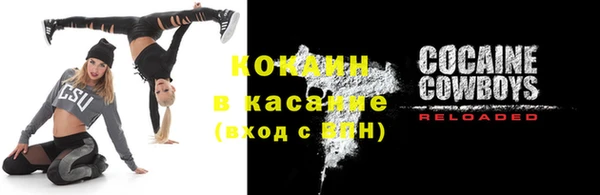 амф Пестово