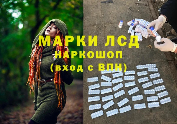 амф Пестово
