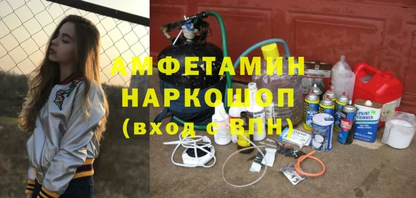 амф Пестово