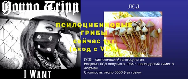 амф Пестово