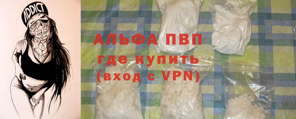 амф Пестово