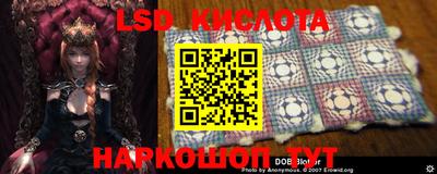 каннабис Кандалакша