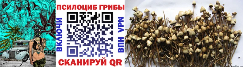 даркнет состав  Соликамск  Галлюциногенные грибы Magic Shrooms 