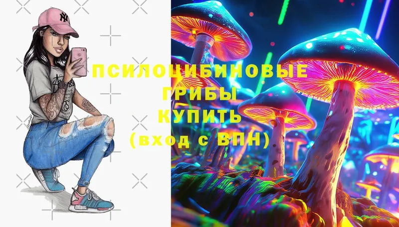 Галлюциногенные грибы Psilocybine cubensis  Соликамск 