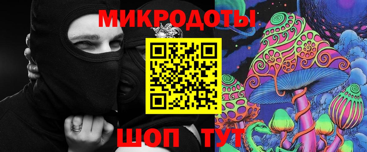 Галлюциногенные грибы Psilocybe Соликамск