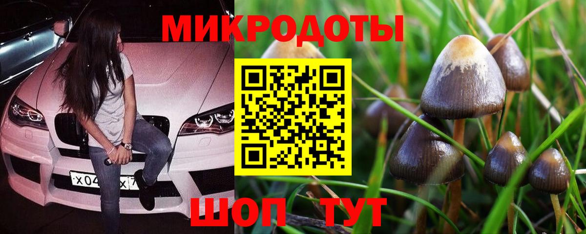 продажа наркотиков  Псилоцибиновые грибы мухоморы  Вход с VPN  Соликамск 
