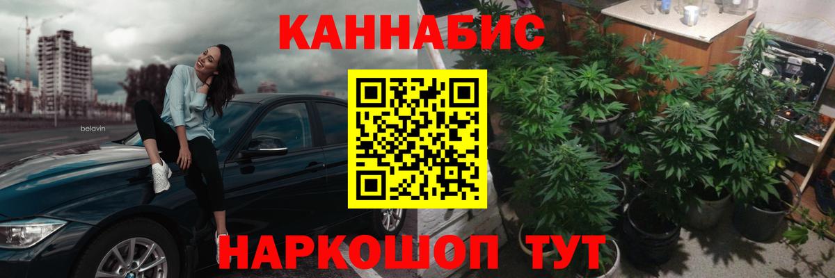 Каннабис AK-47  Каннабис семена  Соликамск  Бошки марихуана план  Каннабис гибрид 